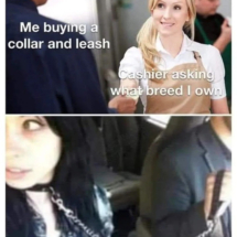 MemeCollarLeash