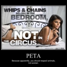 memeWhipsChainsSexyCircus